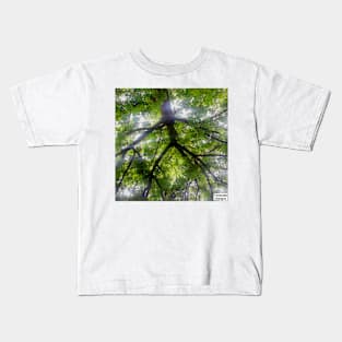 Sun Trees Photo Kids T-Shirt